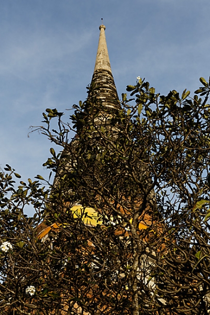Wat Yai Chai Monkon-055